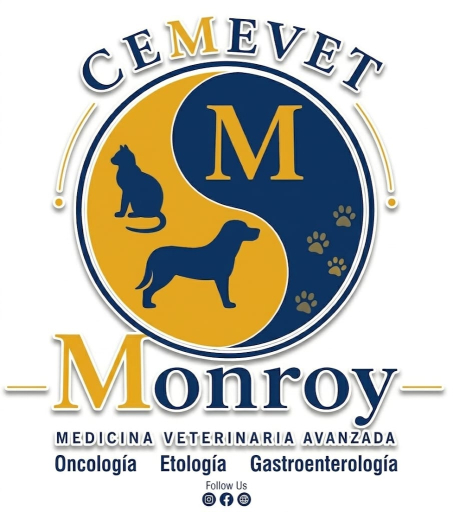 CEMEVET Monroy antes Snoopy