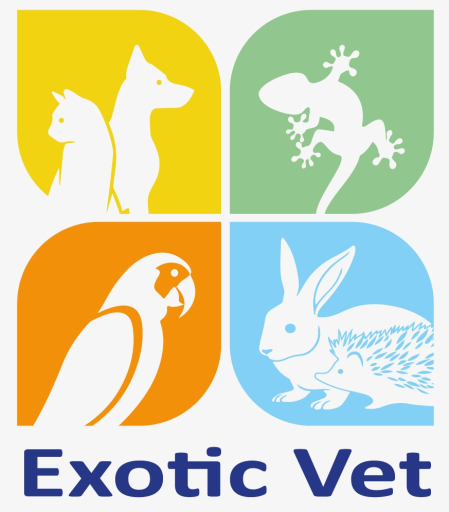 Veterinaria Exotic vet